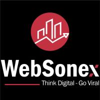 WebSonex - Digital Marketing Agency image 1